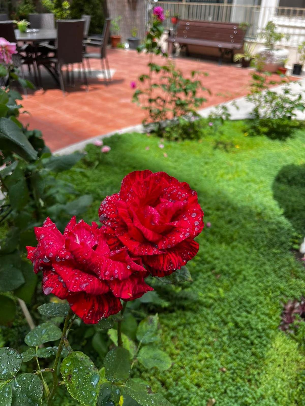 Rose Garden Omax Apartments Slantchev Briag Extérieur photo